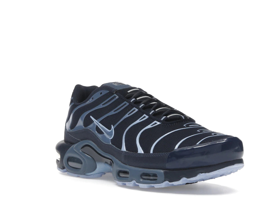 Nike Air Max Plus Obsidian Aluminum - IM6601-451