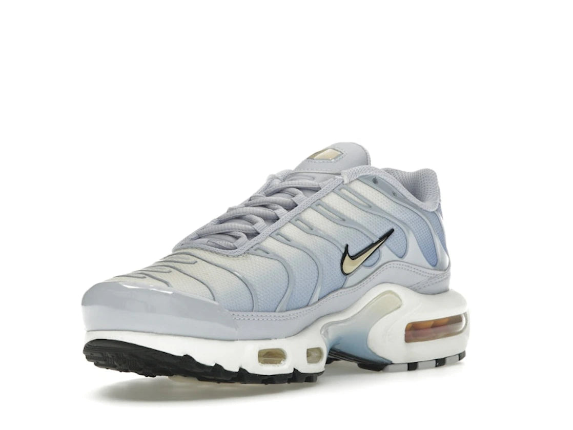 Nike Air Max Plus Daybreak - DZ3670-004