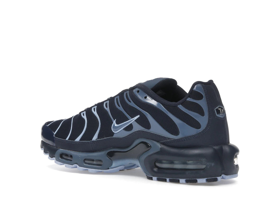 Nike Air Max Plus Obsidian Aluminum - IM6601-451