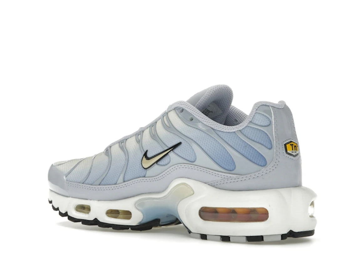 Nike Air Max Plus Daybreak - DZ3670-004