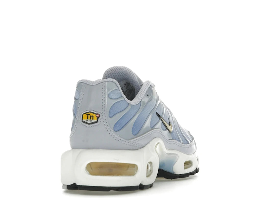 Nike Air Max Plus Daybreak - DZ3670-004