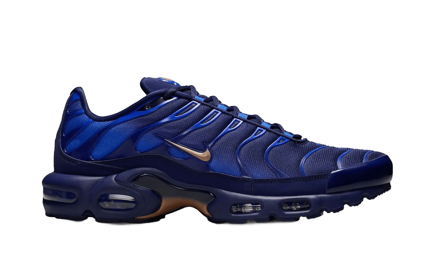 Nike Air Max Plus French Football Federation - IQ0170-400