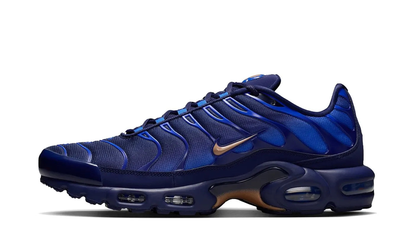 Nike Air Max Plus French Football Federation - IQ0170-400