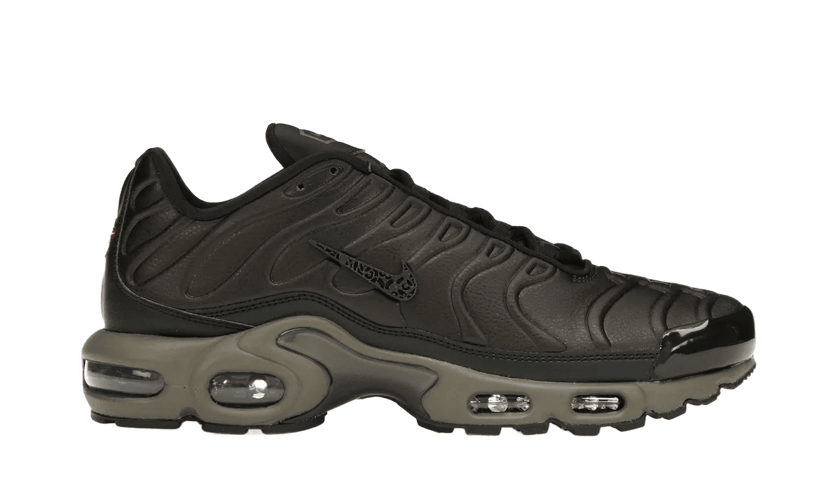 Nike Air Max Plus Premium Paris - HJ4519-200