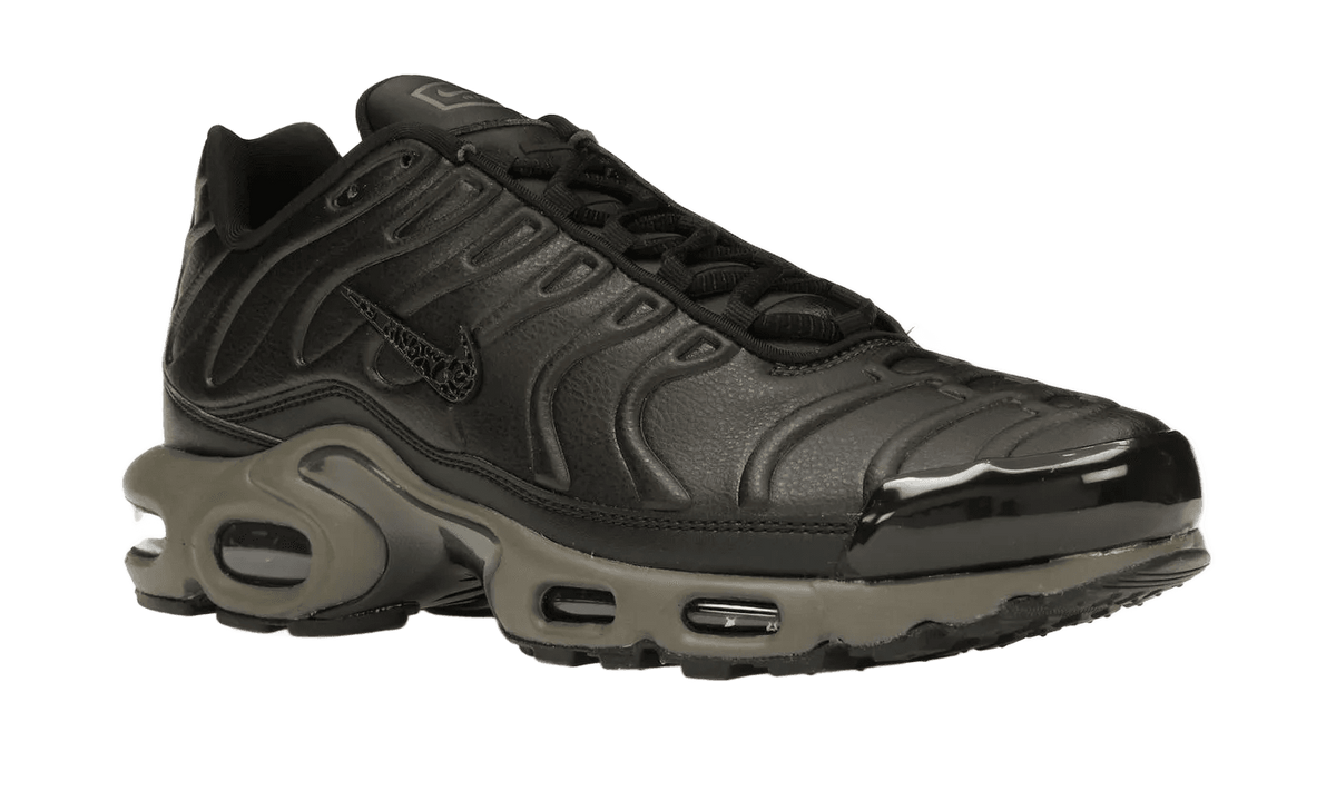 Nike Air Max Plus Premium Paris - HJ4519-200