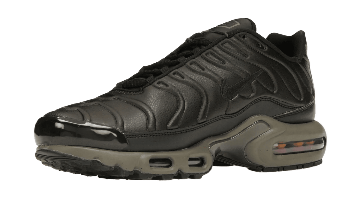 Nike Air Max Plus Premium Paris - HJ4519-200
