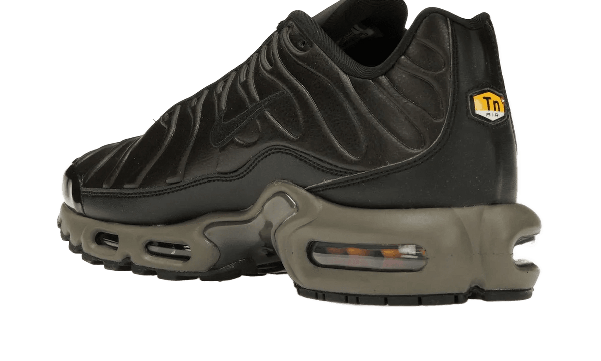 Nike Air Max Plus Premium Paris - HJ4519-200