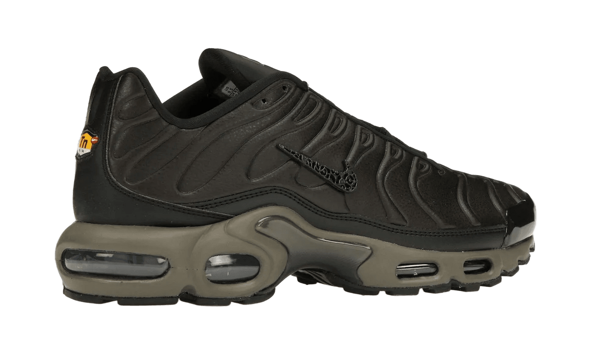 Nike Air Max Plus Premium Paris - HJ4519-200