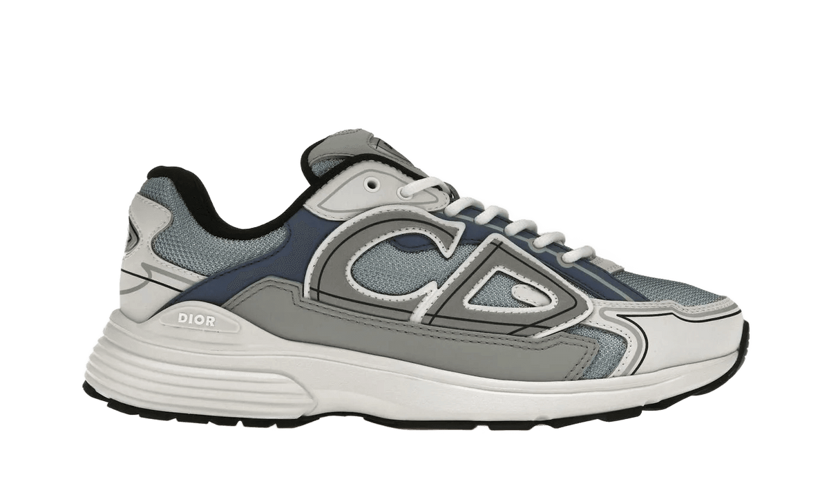 Dior B30 Blue, Gray, White - 3SN279ZRB_H560