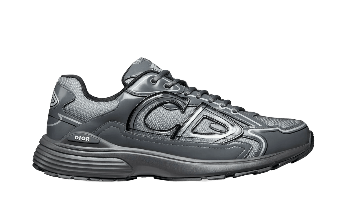 Dior B30 Light Gray Gray - 3SN279ZEH-H968