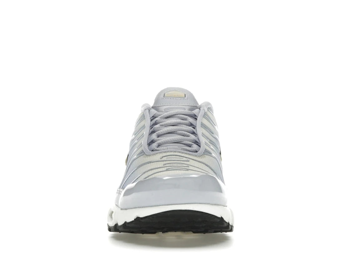 Nike Air Max Plus Daybreak - DZ3670-004