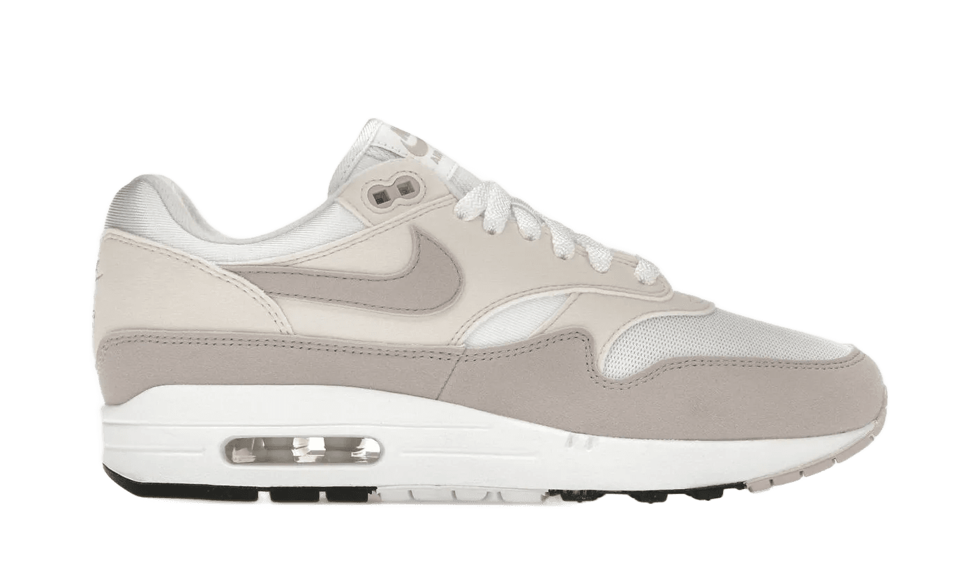 Nike Air Max 1 Platinum Violet - DZ2628-106