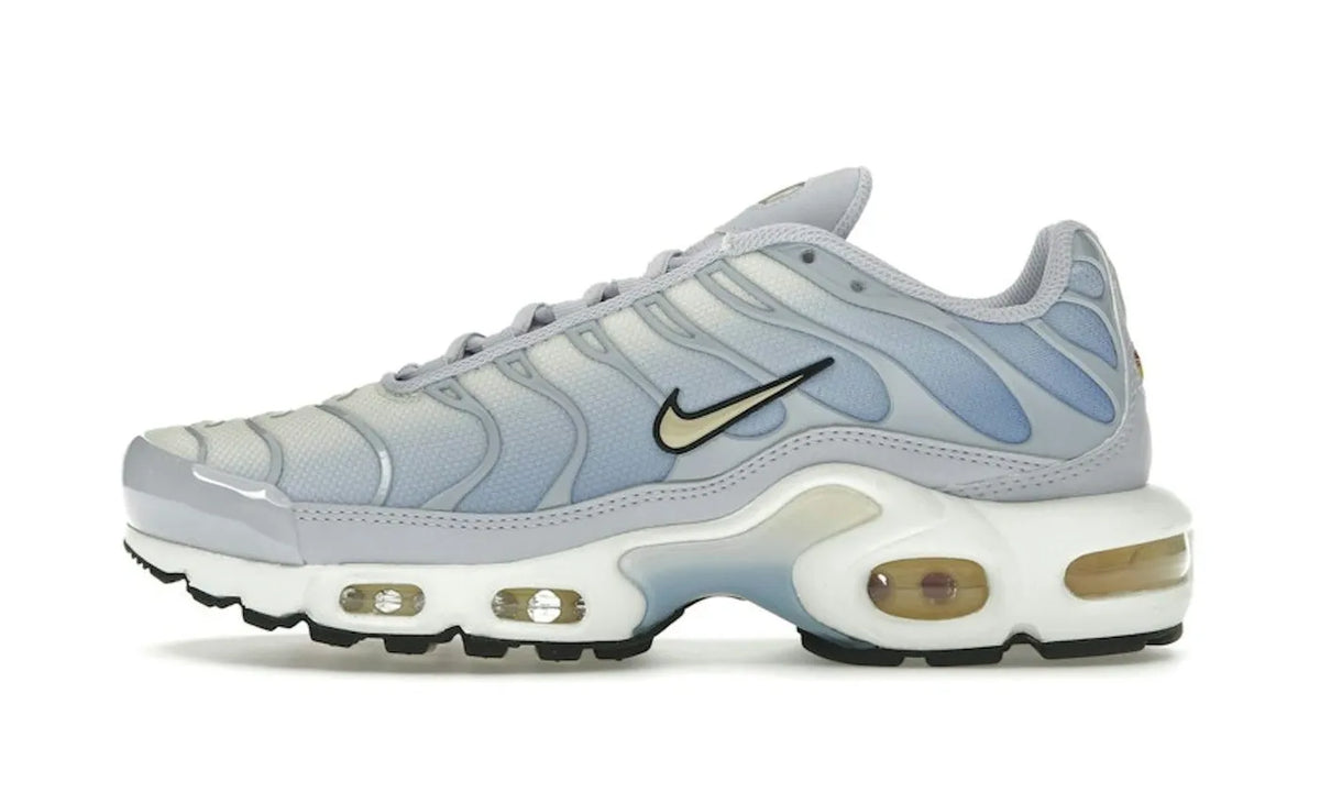 Nike Air Max Plus Daybreak - DZ3670-004